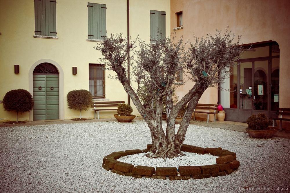 Agriturismo Cascina Boschi Volta Mantovana Exterior photo